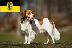 Read more about the article Dutch Kooikerhondje breeders and puppies in Baden-Württemberg