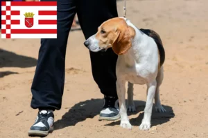 Read more about the article Swiss Lowland Dog Breeder and Puppies in Bremen