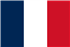 Cão Fila de São Miguel Clubs in France