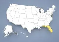 Whippet breeder in Florida,FL, Fla. Whippet breeder in Florida,FL, Fla.