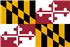 Whippet breeder in Maryland,MD, Md. Whippet breeder in Maryland,MD, Md.