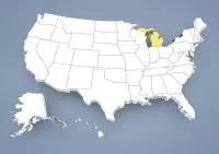 Whippet breeder in Michigan,MI, Mich. Whippet breeder in Michigan,MI, Mich.