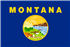 Whippet breeder in Montana,MT, Mont. Whippet breeder in Montana,MT, Mont.