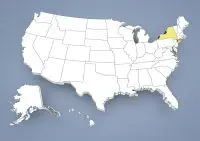 Whippet breeder in New York,NY, N.Y. Whippet breeder in New York,NY, N.Y.
