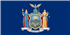Whippet breeder in New York,NY, N.Y. Whippet breeder in New York,NY, N.Y.