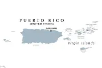 Whippet breeder in Puerto Rico,Estado Libre Asociado de Puerto Rico Whippet breeder in Puerto Rico,Estado Libre Asociado de Puerto Rico