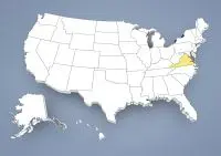 Whippet breeder in Virginia,VA, Va. Whippet breeder in Virginia,VA, Va.