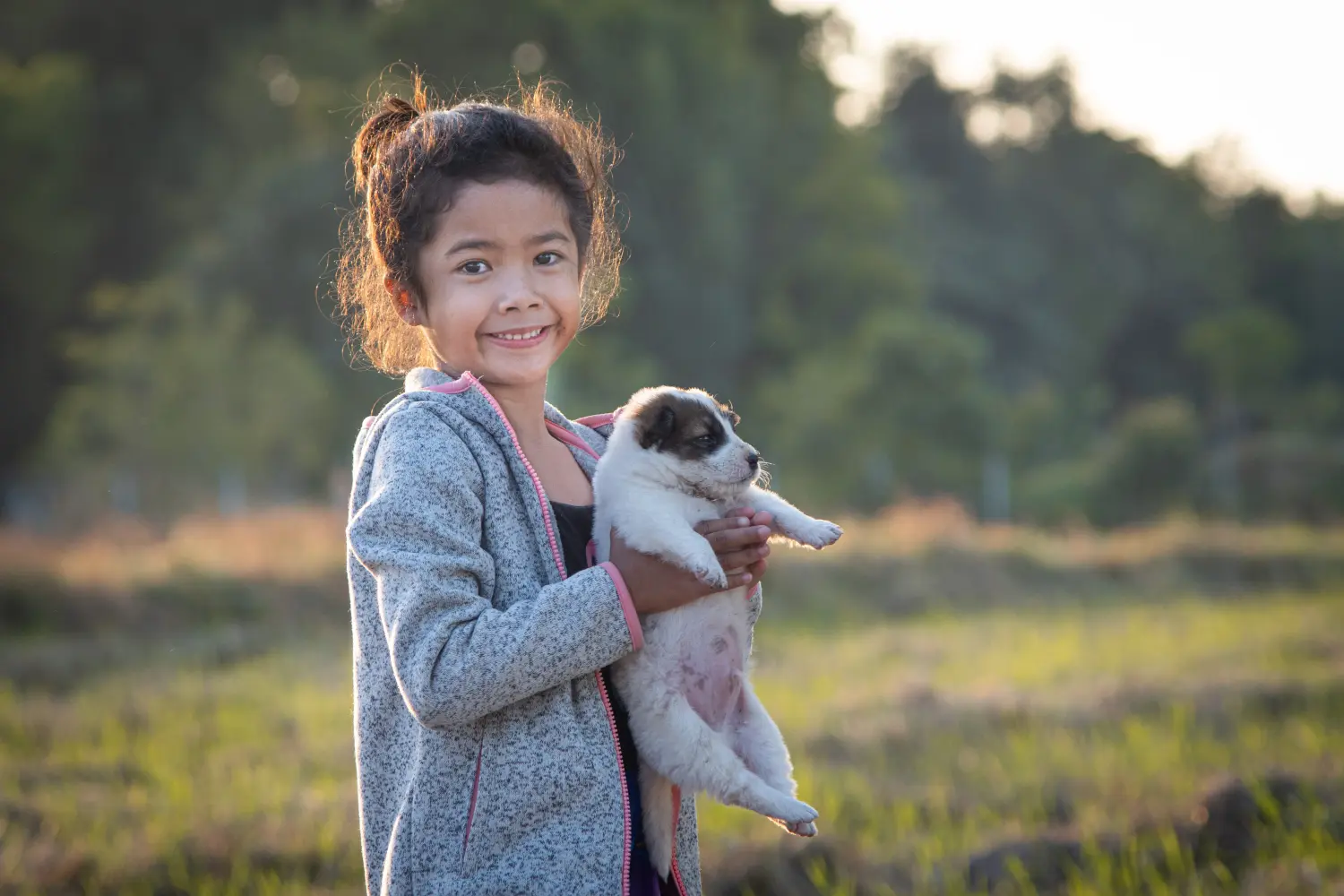 Thai Bangkaew Dog - My love for this dog breed. Why I love Thai Bangkaew Dog